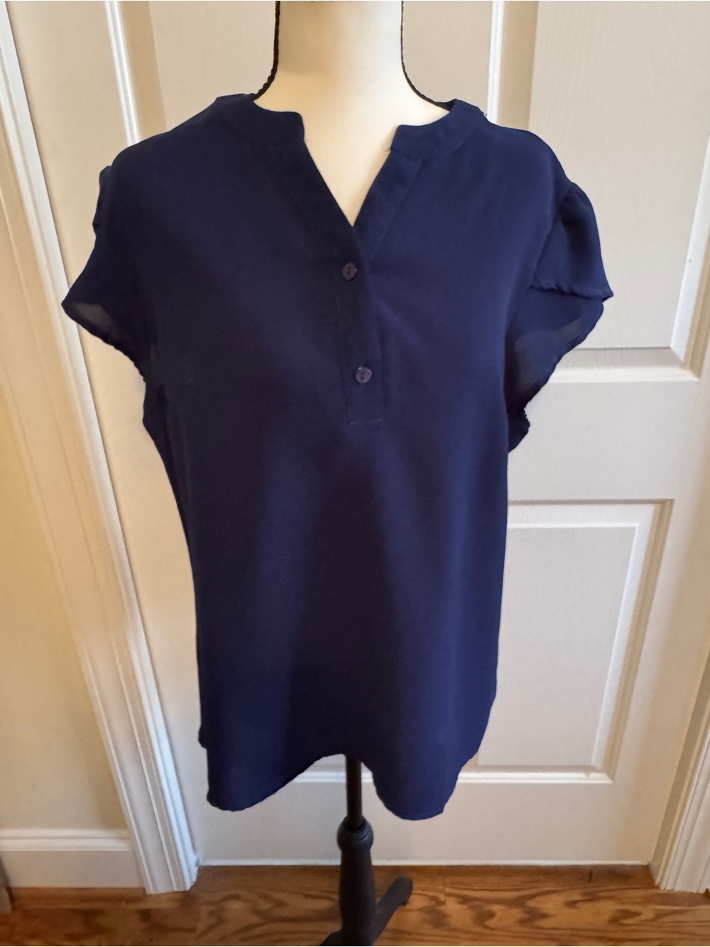 Navy Short-petal sleeve V-Neck Blouse
